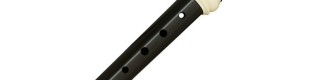 Aulos 507B