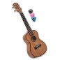 Cascha concert ukulele